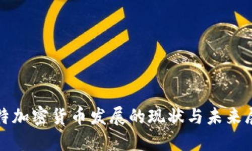推特加密货币发展的现状与未来展望