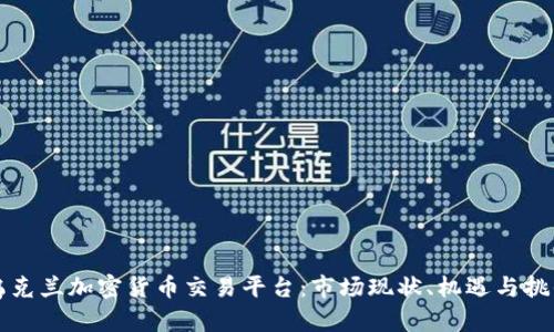 乌克兰加密货币交易平台:市场现状、机遇与挑战