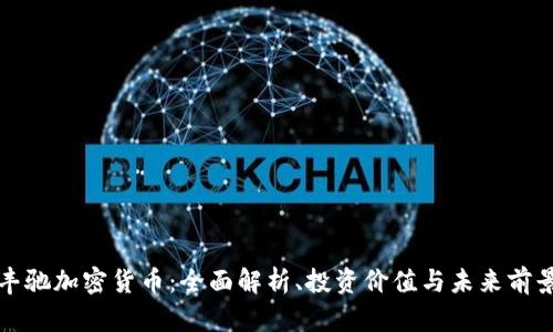 丰驰加密货币:全面解析、投资价值与未来前景