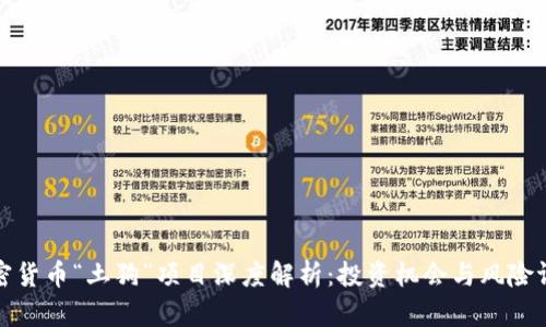 加密货币“土狗”项目深度解析:投资机会与风险评估