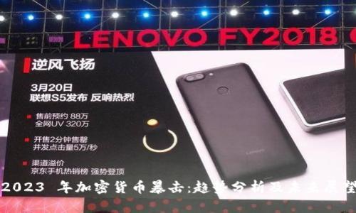2023 年加密货币暴击:趋势分析及未来展望