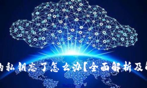 TP钱包的私钥忘了怎么办?全面解析及解决方案