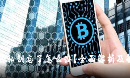 TP钱包的私钥忘了怎么办?全面解析及解决方案