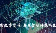 硅谷加密数字货币:未来金融科技的先锋之路