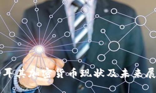 土耳其加密货币现状及未来展望
