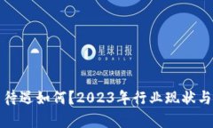 加密货币待遇如何?2023年行业现状与前景解析
