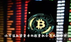 小市值加密货币的投资机会与风险分析