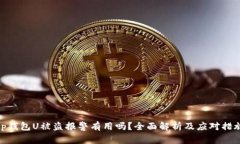 tp钱包U被盗报警有用吗?全面解析及应对措施