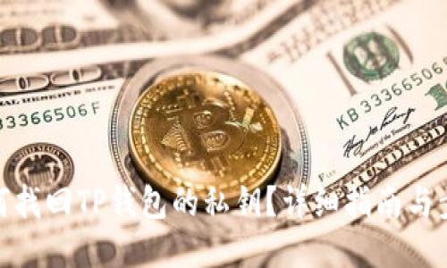 如何找回TP钱包的私钥?详细指南与步骤