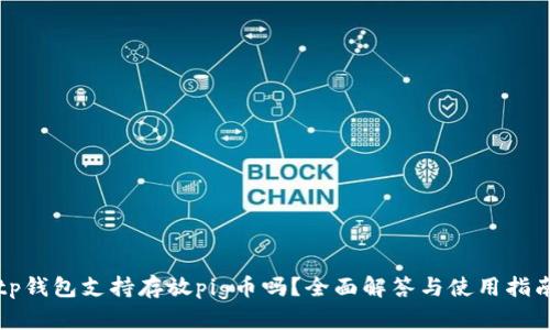 tp钱包支持存放pig币吗?全面解答与使用指南