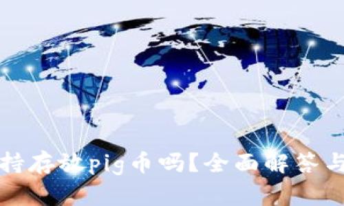 tp钱包支持存放pig币吗?全面解答与使用指南