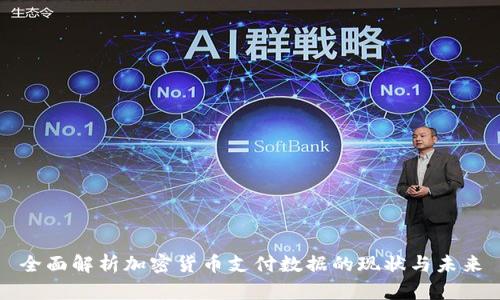 全面解析加密货币支付数据的现状与未来