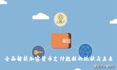 全面解析加密货币支付数据的现状与未来