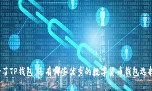 除了TP钱包,还有哪些优秀的数字货币钱包选择?