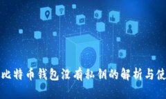 TP钱包比特币钱包没有私钥的解析与使用指南
