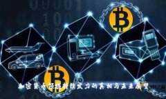 加密货币领域持续发力的真相与未来展望