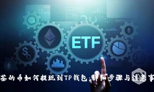 抹茶的币如何提现到TP钱包:详细步骤与注意事项